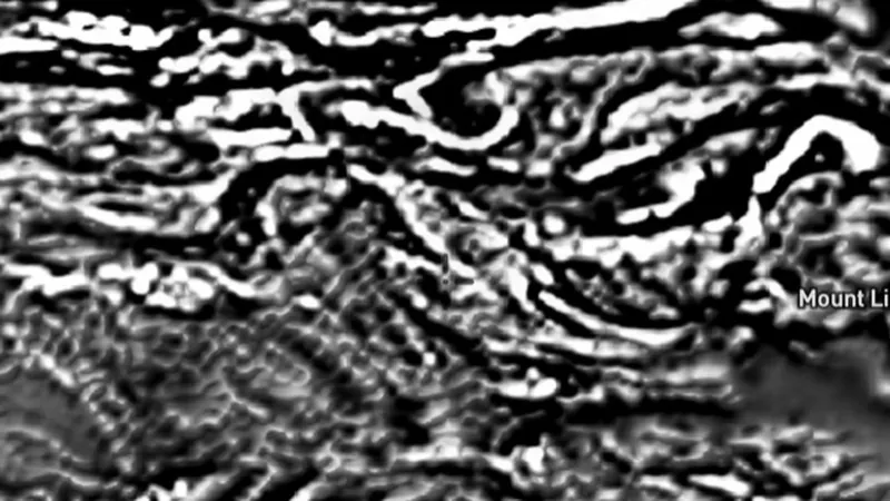 Total Magnetic Intensity (1VD) in the Detector Maps app, Northern Territory