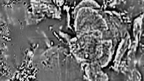 Magnetics (1VD) in the Detector Maps app, Queensland