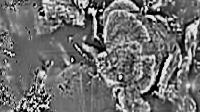 Magnetics (1VD) in the Detector Maps app, Queensland