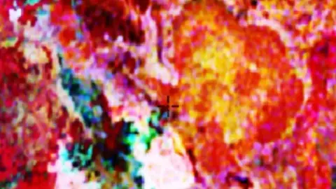 Ternary Radiometrics in the Detector Maps app, Queensland