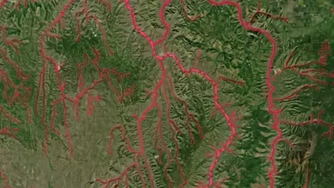Critical Habitat Areas in USA coins and relics, drawn over satellite imagery