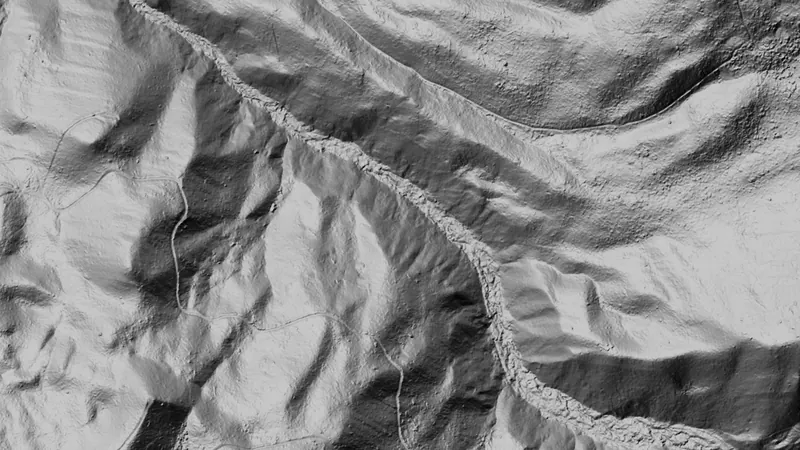 Dynamic LiDAR™ in Washington, drawn over satellite imagery