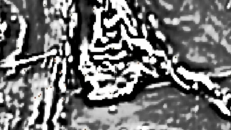 Magnetics (1VD) (Online Only) in the Detector Maps app, Western Australia