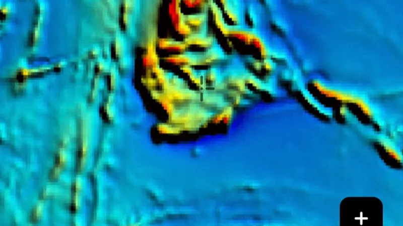 Magnetics (RTP) (Online Only) in the Detector Maps app, Western Australia