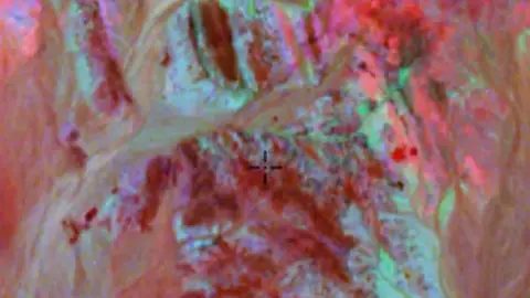 Ternary Radiometrics in the Detector Maps app, Western Australia