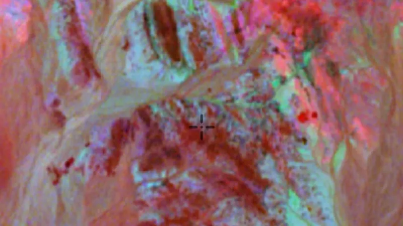 Ternary Radiometrics in the Detector Maps app, Western Australia