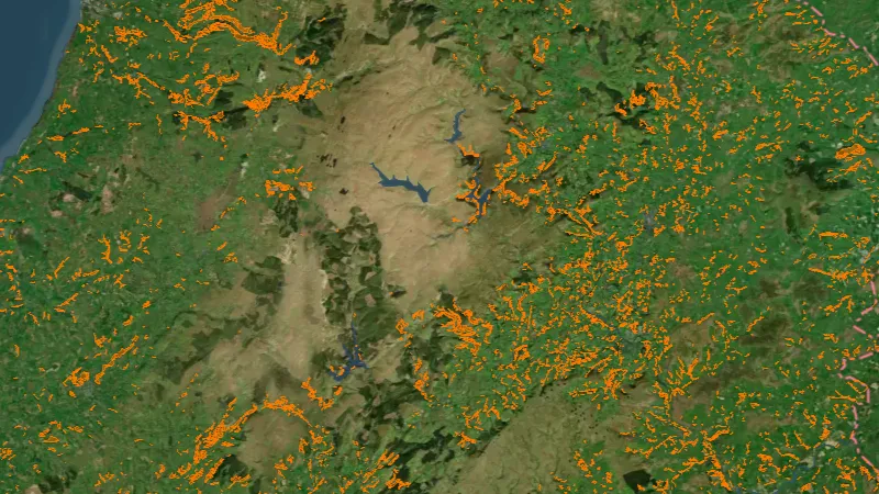 Ancient Woodlands in Wales, drawn over satellite imagery