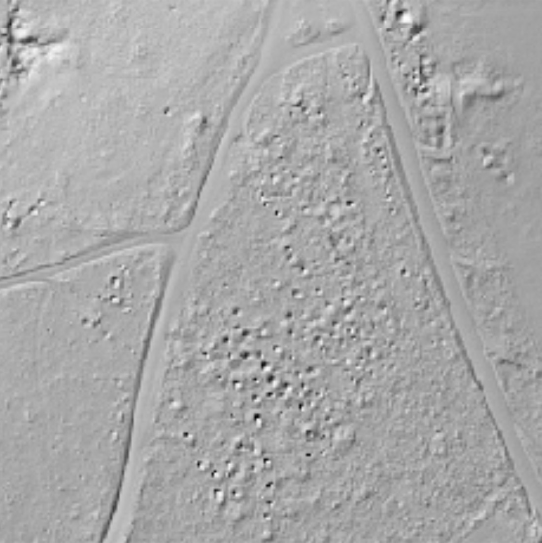 1-metre LiDAR hillshade of the same location — old workings visible on bare earth