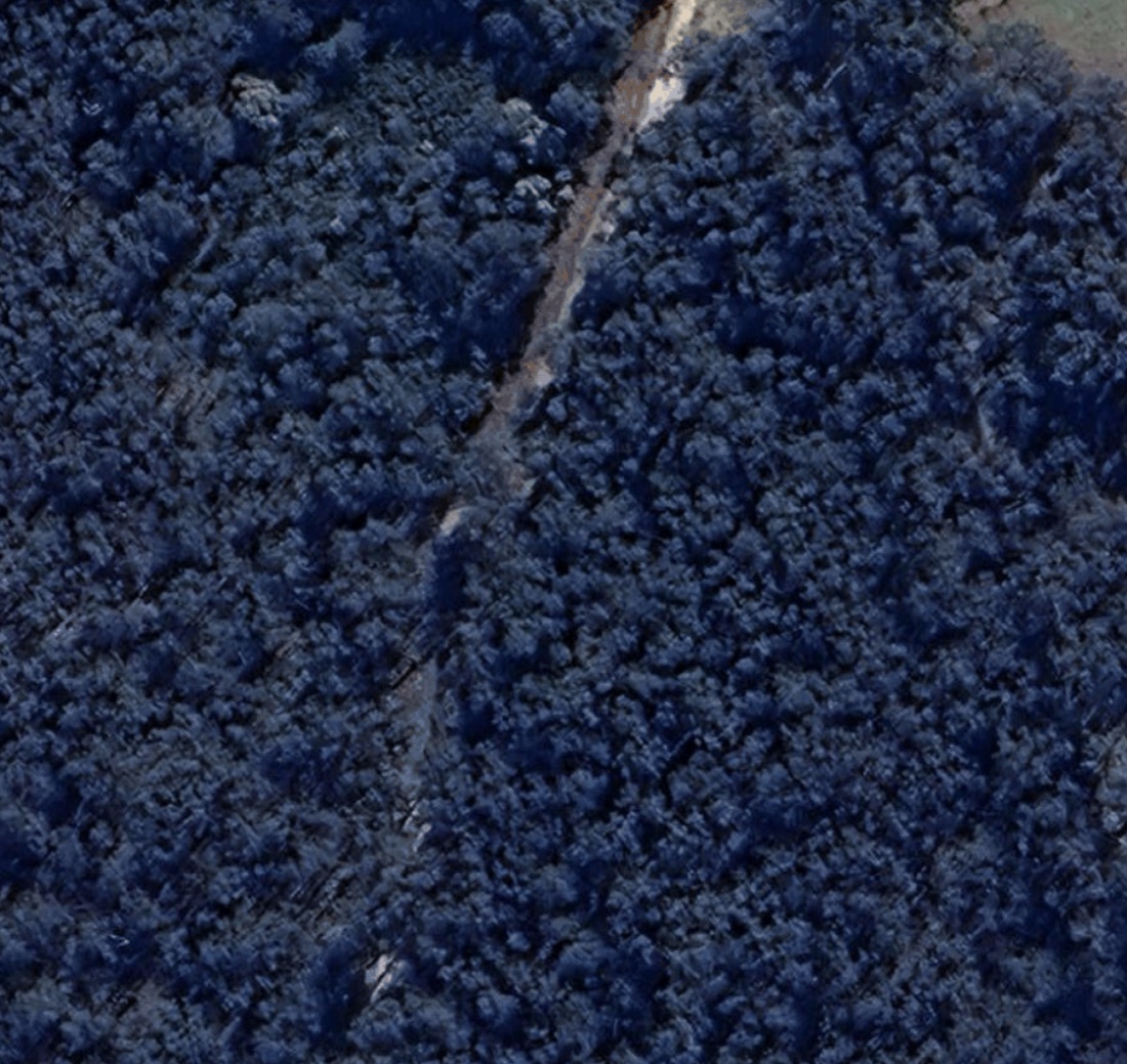Satellite view — tree canopy hides the ground