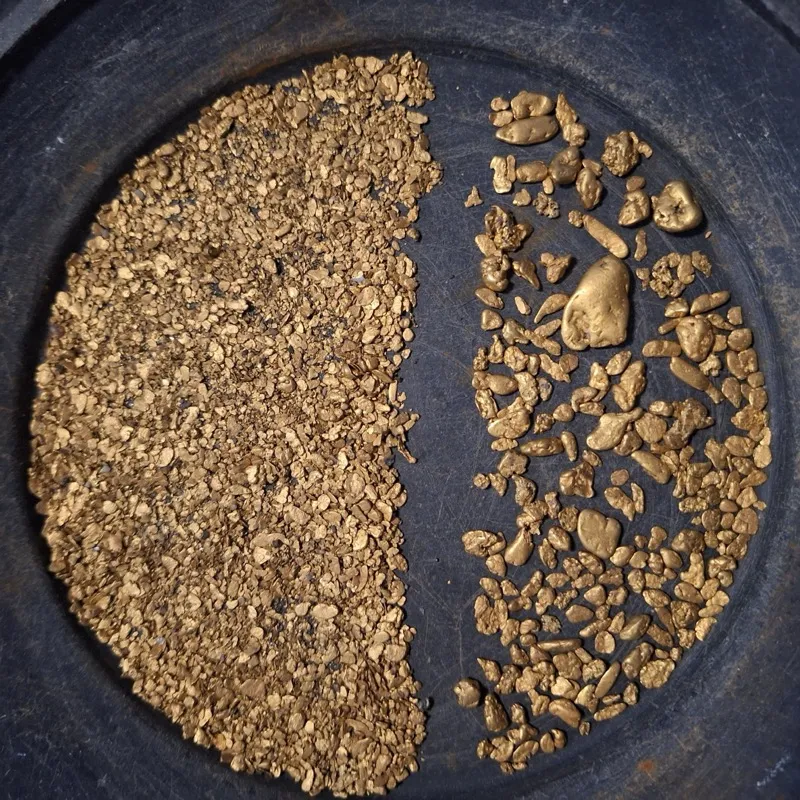 Gold find photo shared in the Detector Maps community feed