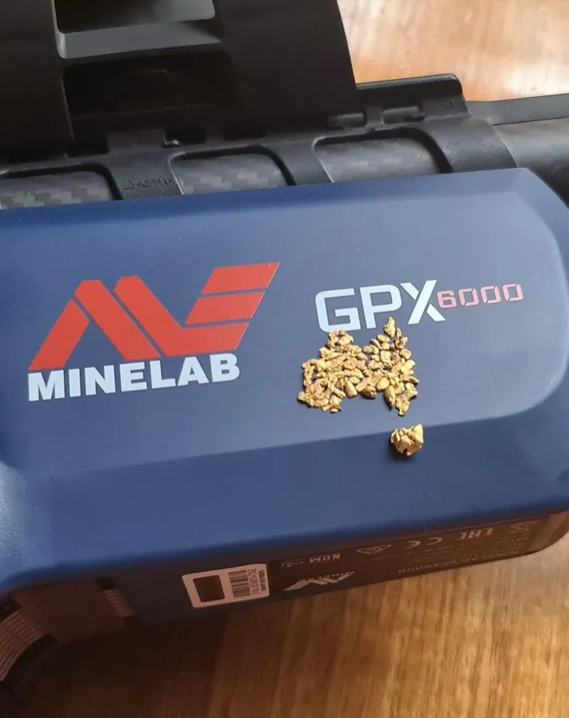 Gold find photo shared in the Detector Maps community feed