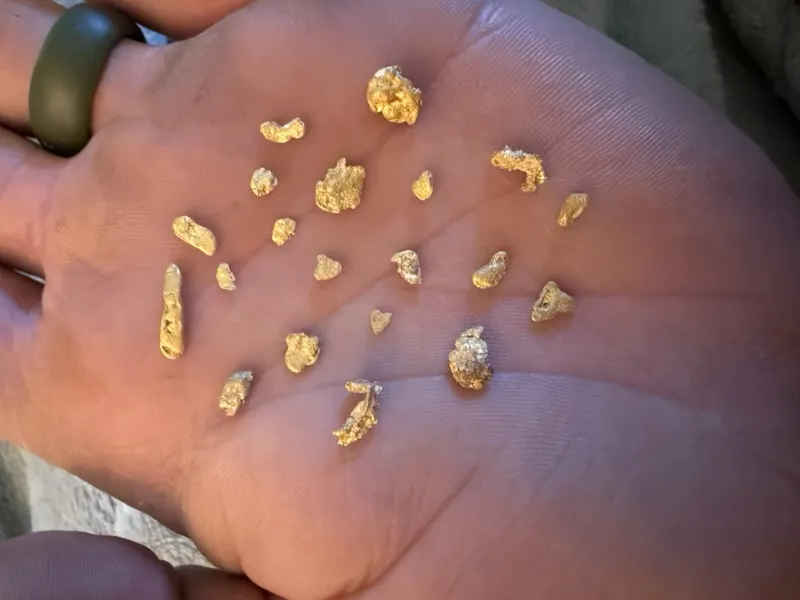 Gold find photo shared in the Detector Maps community feed