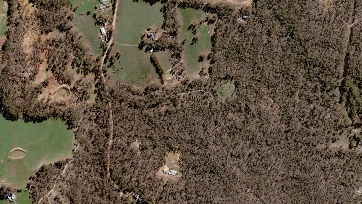 Satellite view of Wattle Gully near Castlemaine, Victoria: forest hides the ground